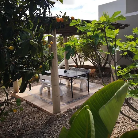 Casa Came Holiday home Sao Bartolomeu de Messines